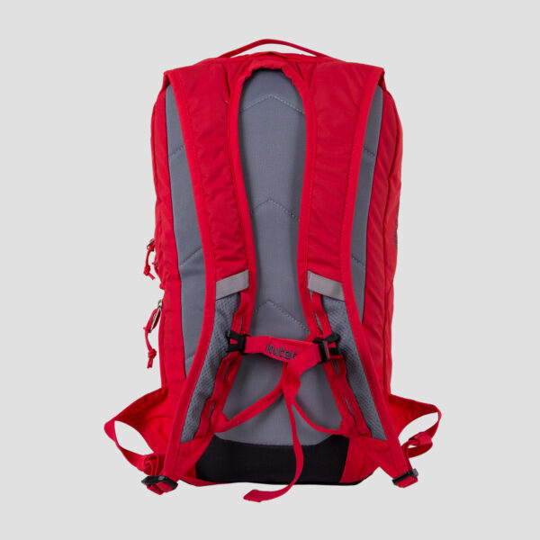 Deuter Gravity Pitch 12 Kletterrucksack Rot - Rückansicht